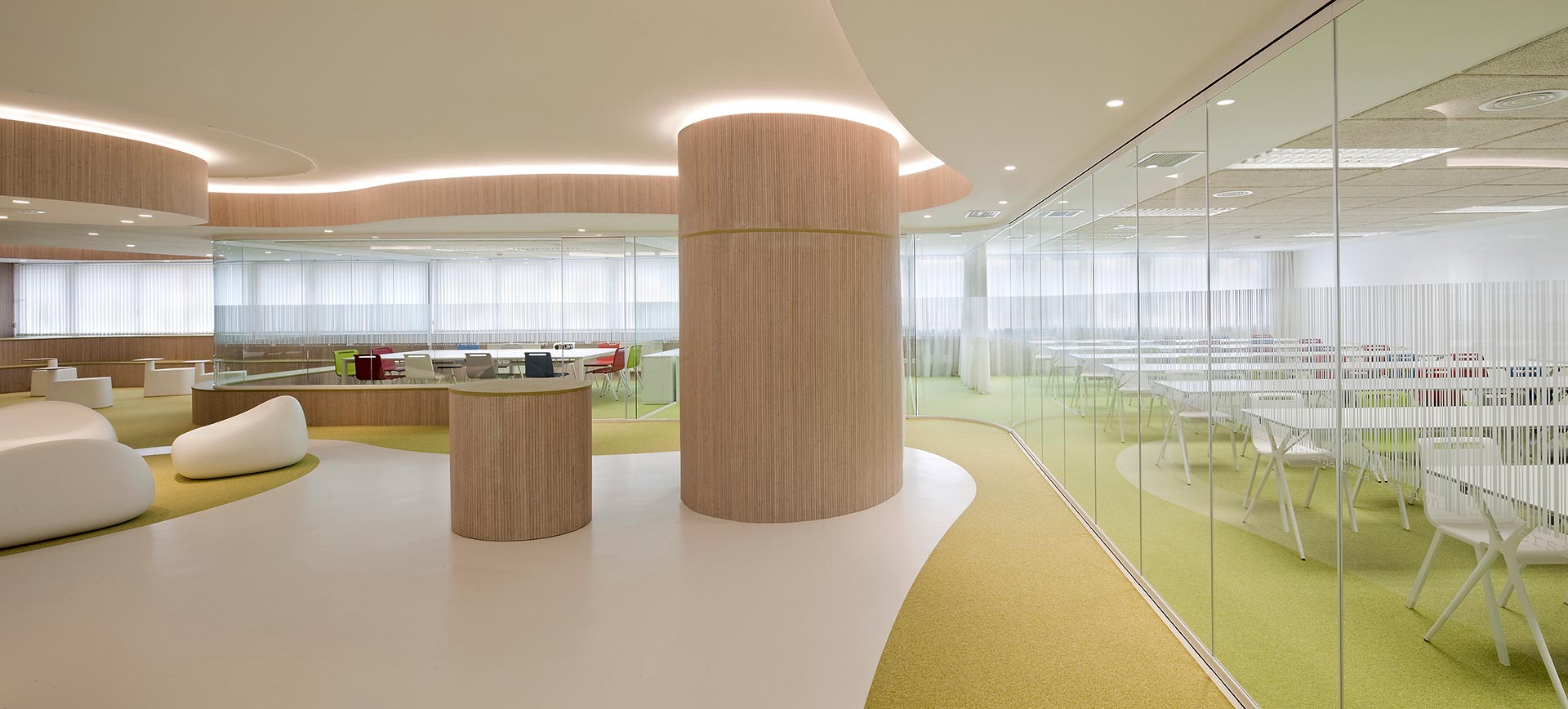 Organic spaces in modern office refurbishment of CISE designed by Moah Architects in Santander