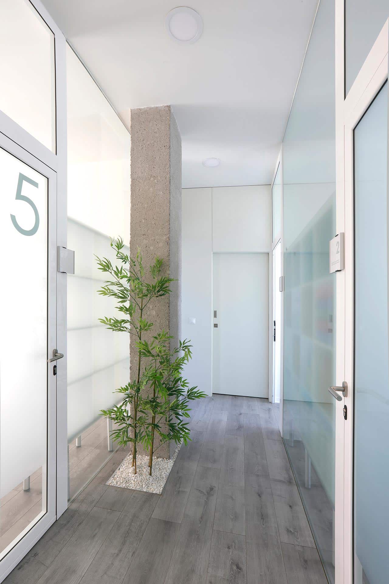 Pasillo de local de diseño con planta de bambú y suelo gris diseñado por Moah Arquitectos en Santander