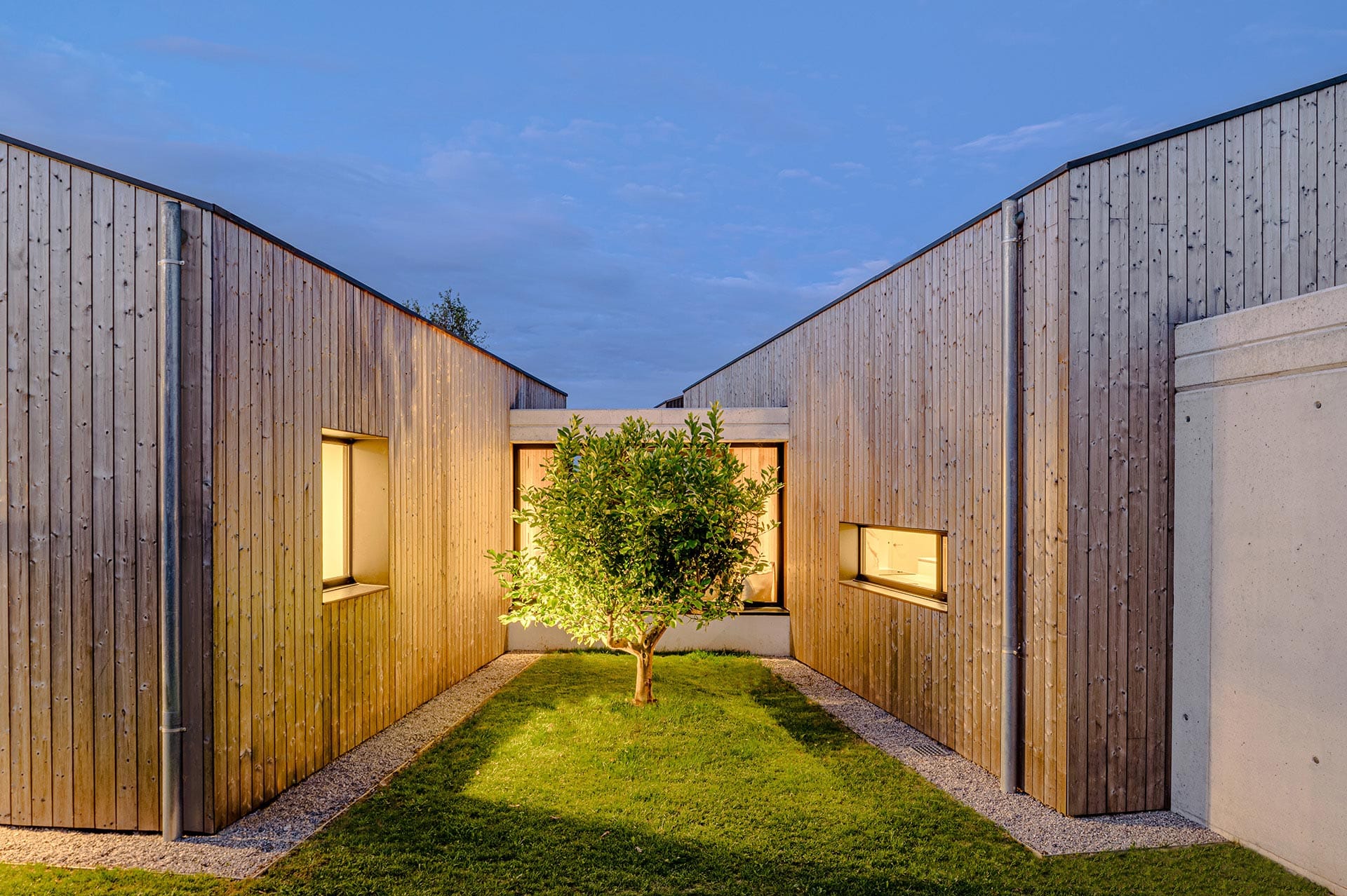 Patio con olivo de de casa de madera diseñada por Moah Arquitectos en Suesa. Cantabria.